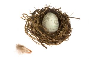 Nest Egg protected with Long Term Care Insurance