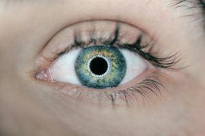 Eye Exam