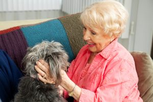 long term care