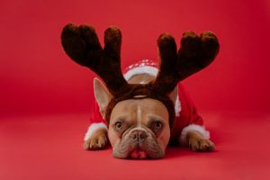 Christmas -