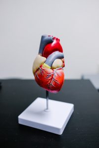 Heart Tumors