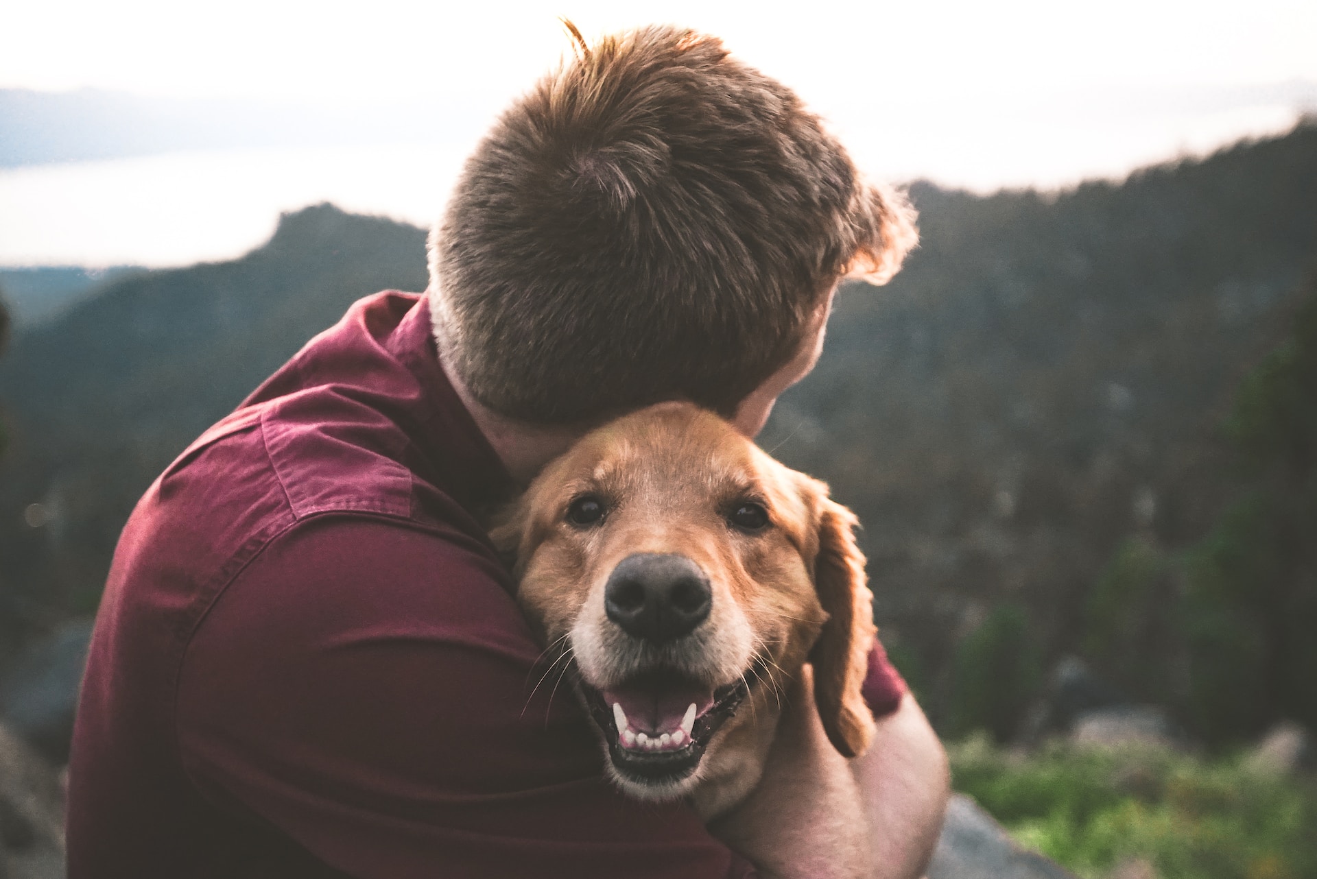 Animal Therapy For Seniors