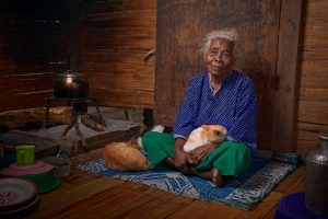 Cats can Actually Improve Quality of Life in Elderly
