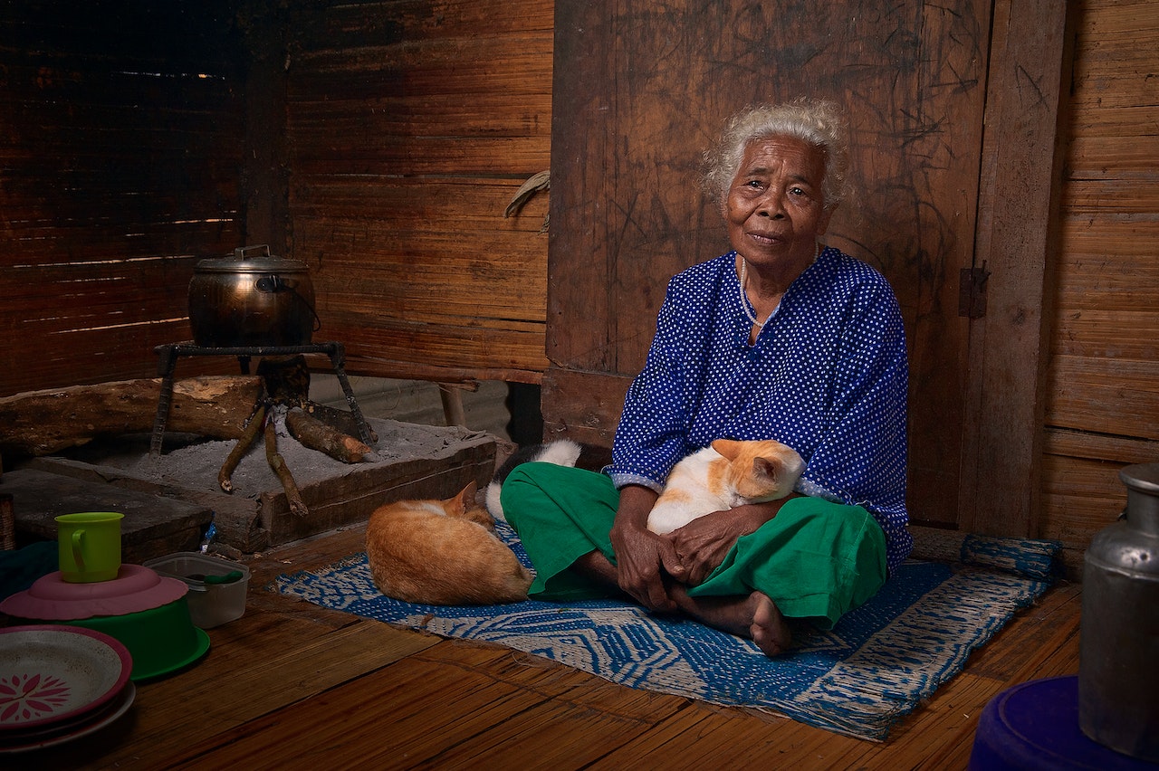 Cats can Actually Improve Quality of Life in Elderly